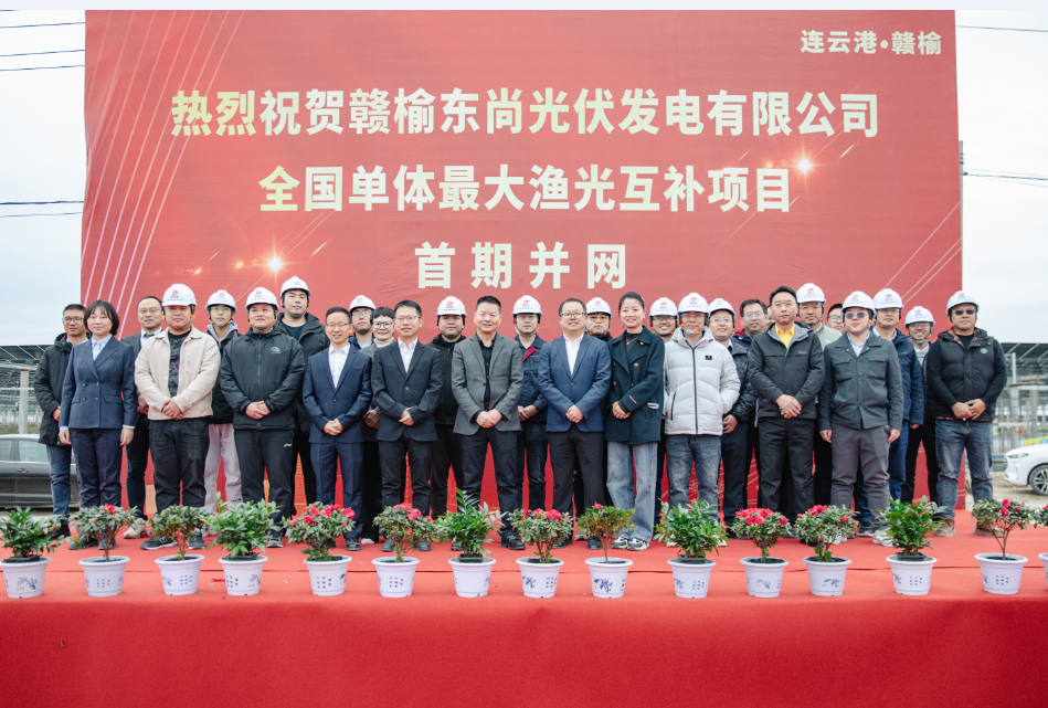 6731������Ϸ��(�й���)�ٷ���վ